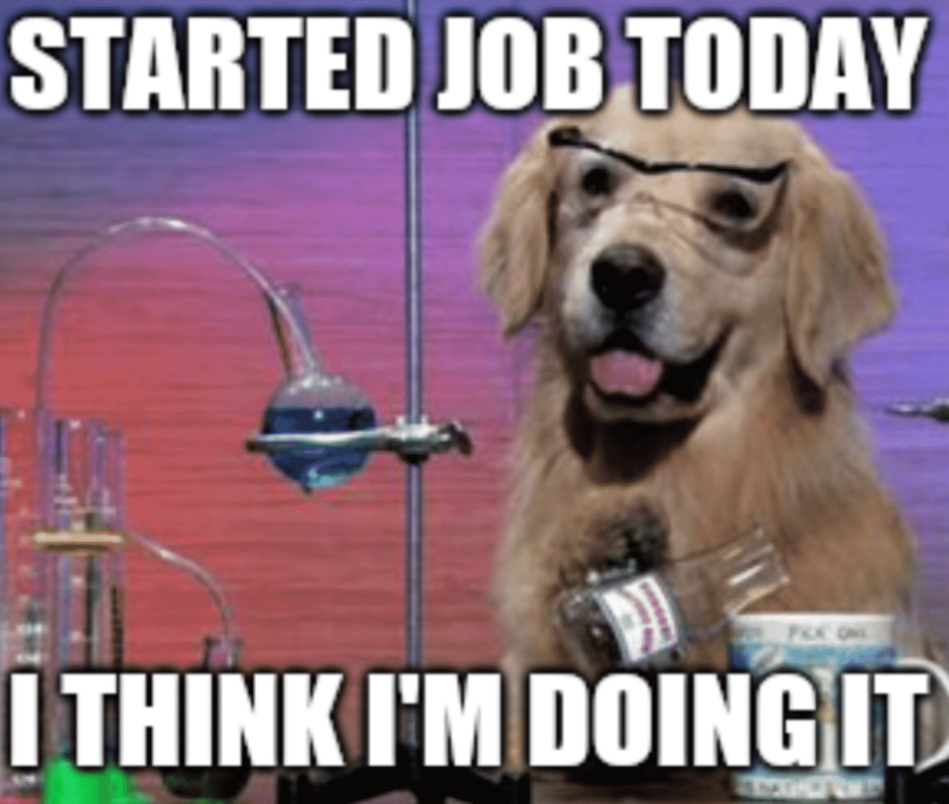 First Day At New Job Meme