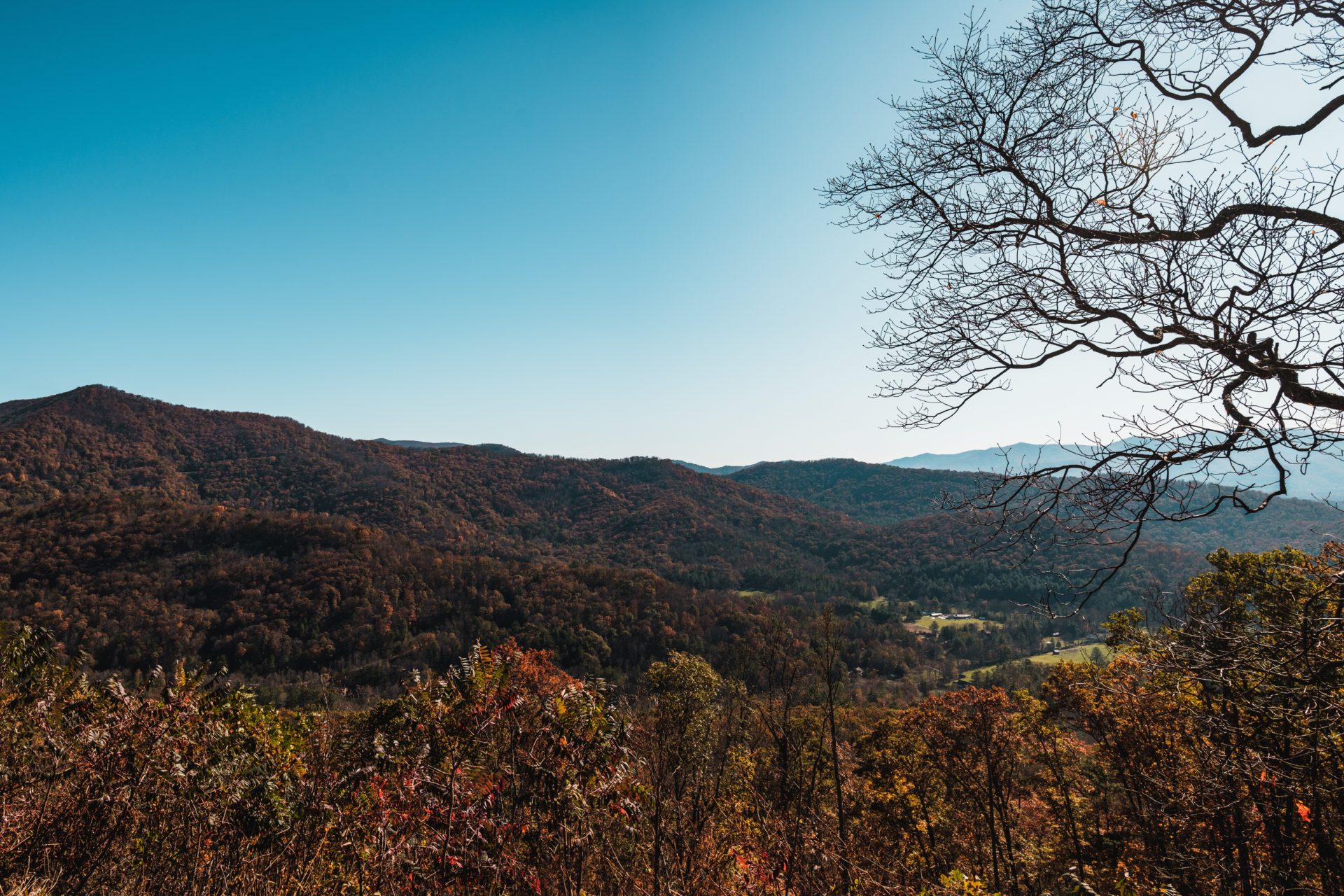 Team Building Activities in Asheville, NC