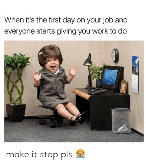 First Day On The Job Memes Career Employer