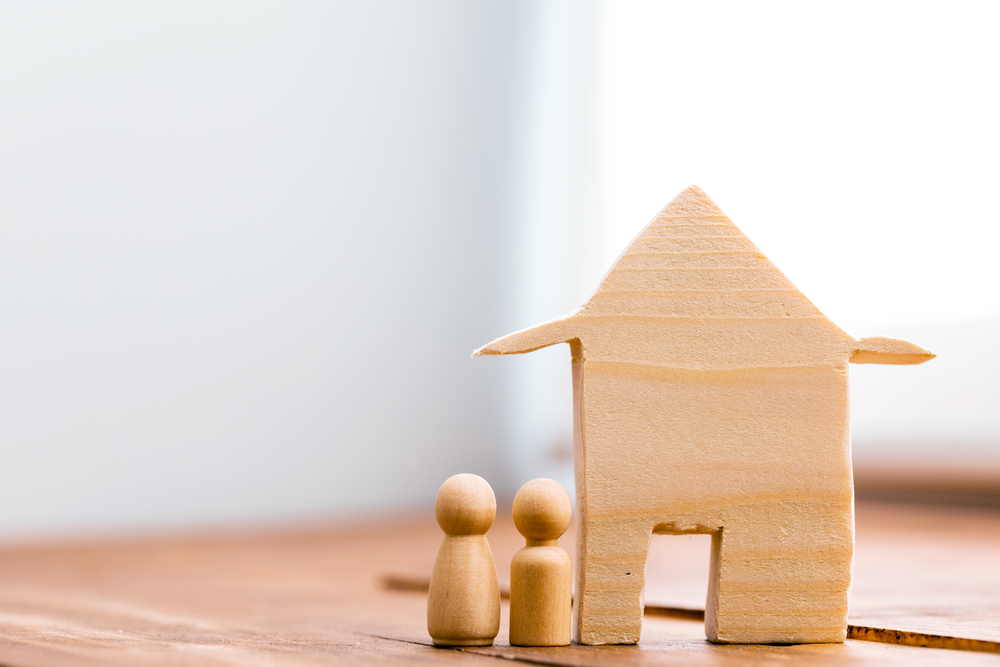 small wooden house and miniature