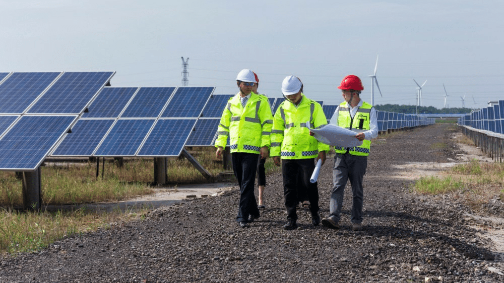 inspecting a solar plant during internship for environmental engineering