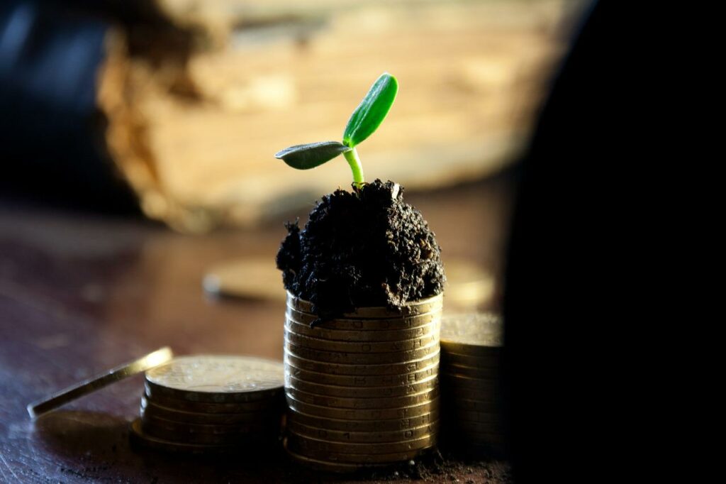 tender plant growing in soil on a stack of coins