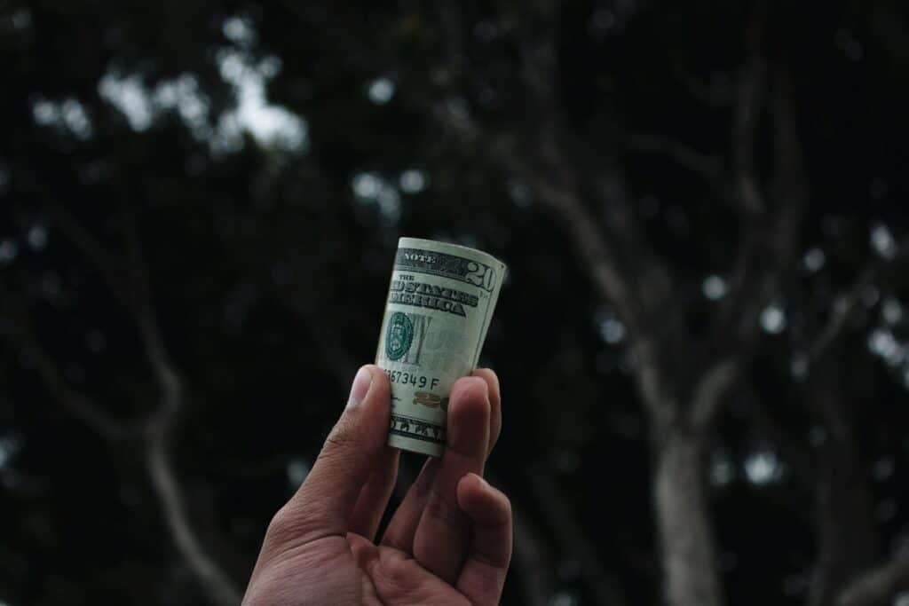 male hand holding up a roll of dollar bills