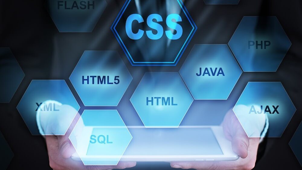 Web Development involves building a front-end and back-end which are both important to users.