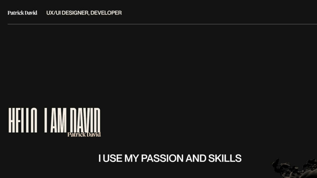 Patrick David's Web Developer Portfolio is unique, given that he uses big, bold fonts