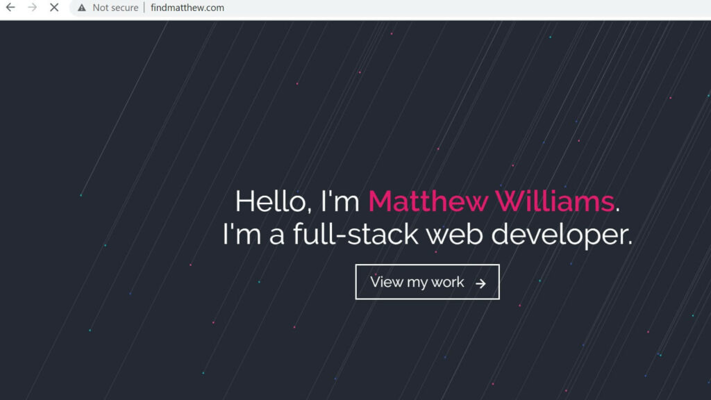 Matthew Williams's Web Developer Portfolio website stands out because he highlights his proficiency in programming languages, tools, and programs in percentages