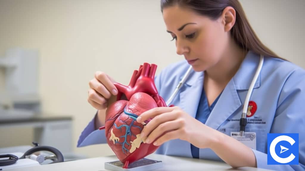 What do Cardiovascular Nurses do?